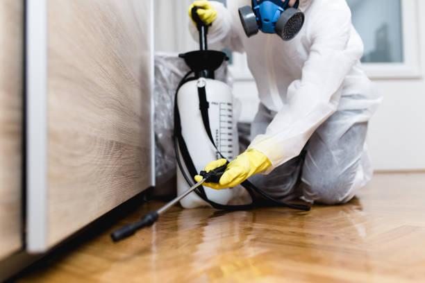 Best Rat Extermination Near Me  in Saddle River, NJ