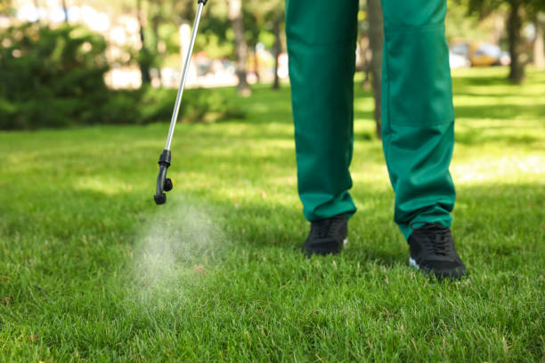 Best Rat Extermination Near Me  in Saddle River, NJ
