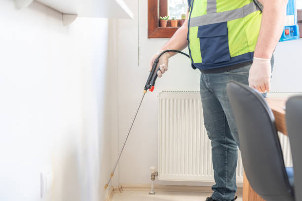 Best Ant Control Services  in Saddle River, NJ