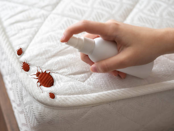 Best Spider Control Near Me  in Saddle River, NJ