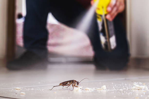 Best Affordable Pest Control Services  in Saddle River, NJ
