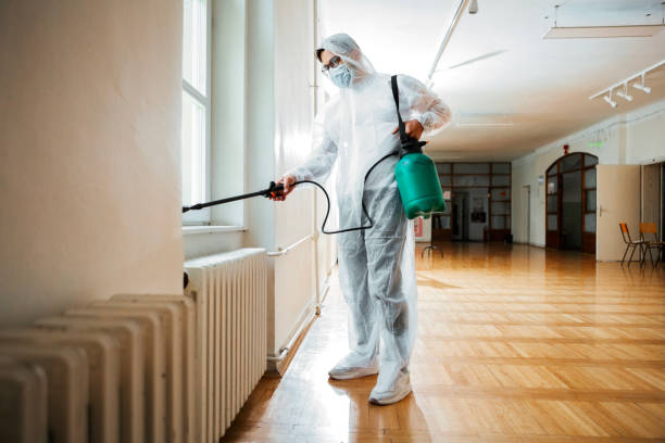 Best Termite Control Services  in Saddle River, NJ